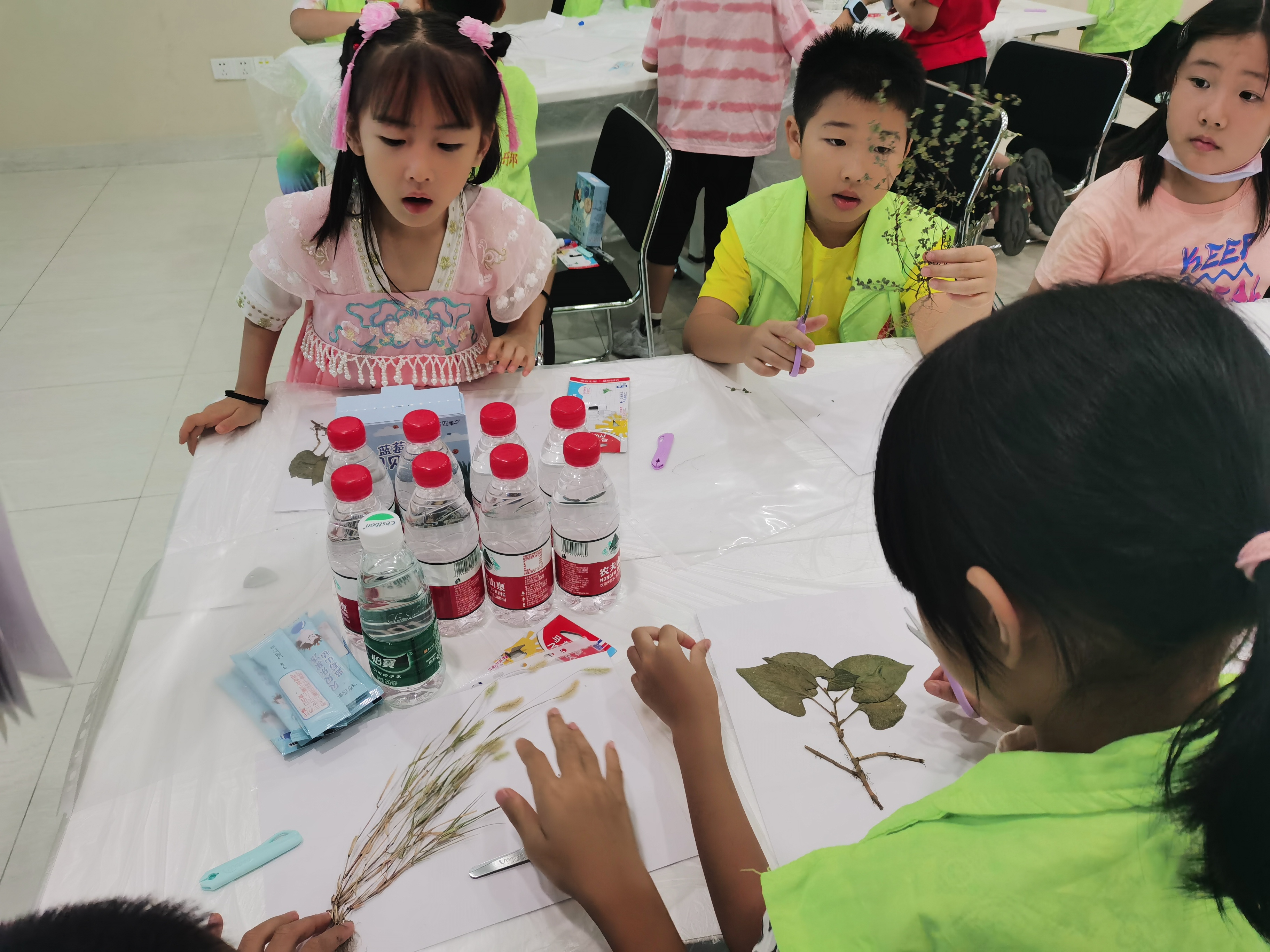 d1DR0QqgOg.jpg d1DR0QqgOg.jpg