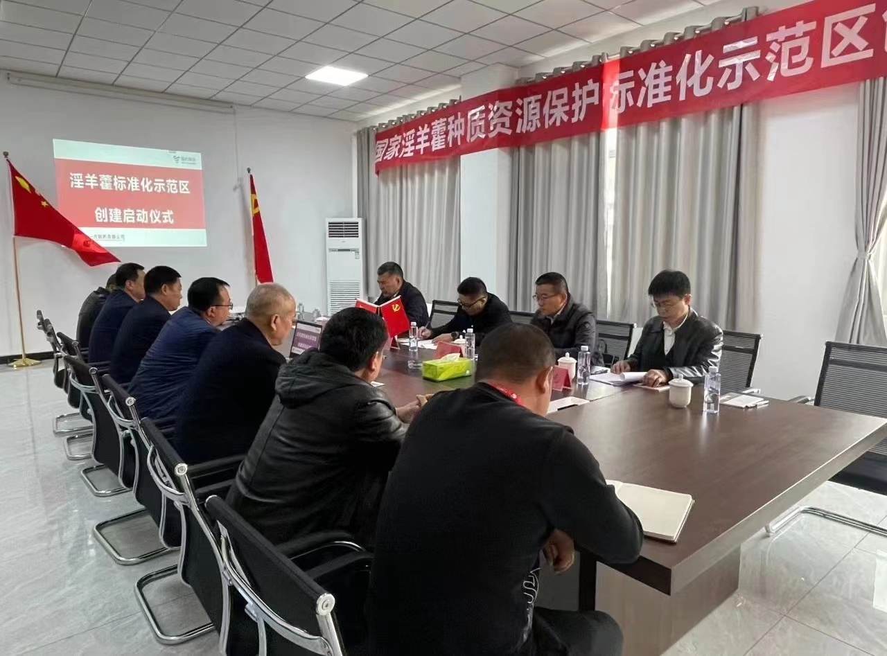 IYhOV4N41I.jpg IYhOV4N41I.jpg