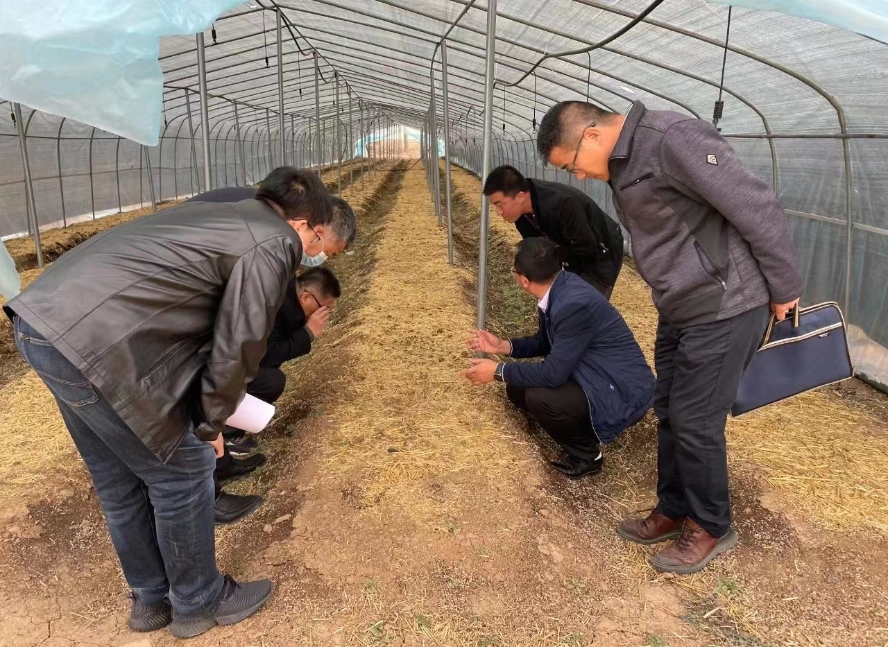 r9DT9OrnZz.jpg r9DT9OrnZz.jpg