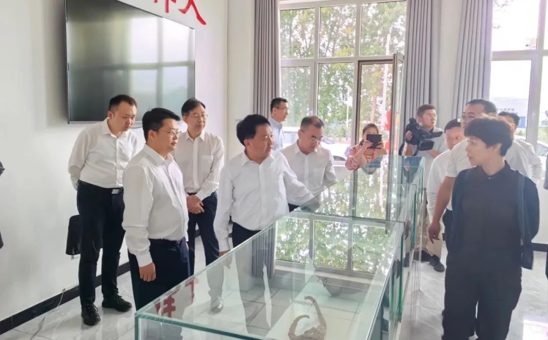 rvdrAfb93y.jpg rvdrAfb93y.jpg